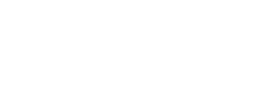 Vanessa